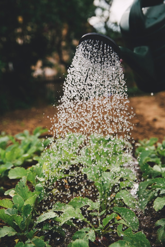 markus spiske sfydxgrt5oa unsplash